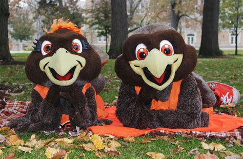 The artistic representation of LSU's mascots in popular culture